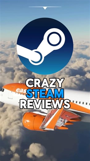 Crazy Steam Reviews - Flight Simulator 2024 #steam #reviews #gaming #flightsimulator2024 #memes