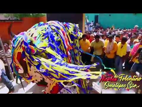 Danza del Toro de Petate | Ometepec Gro. Mex.