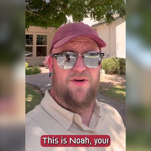 Service Completed! 🧰🌵 Noah wrapped your exterior today with care—perimeter treatment, plus dusting at columns, entry points, and water/irrigation boxes for extra protection. That’s us taking care of customers and taking ownership of the details. 🛡️ Where Noah serves: Central, East, and North Phoenix Questions or concerns? PhoenixPest.com We’re here to help, and we’ll make it right. 💚 #PhoenixPest #PestControl #PestPrevention #SpiderControl #ScorpionControl #AntControl #Phoenix #Scottsdale #T