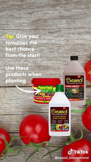 Planting Tomatoes: Tips for Healthy Growth with Seasol