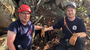 Crew rescues hunting dog who had fallen 35 feet down a cave