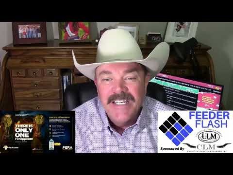 Feeder Flash 2/20: Staring Game