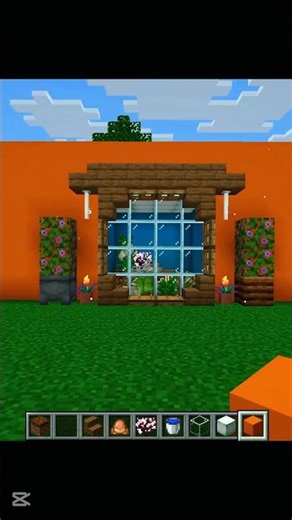 frog house 🐸 🐸