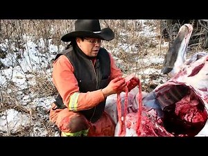 Moose Field Harvest: Field Dressing a Moose