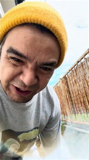 Cilantro finally arrived! #fyp #vlog #japanlife #vatomexicanoenjapon
