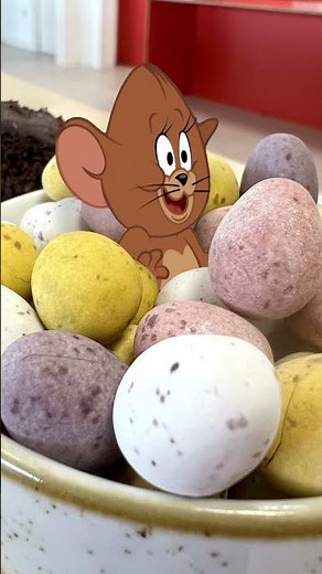 Salvat de o gogoașă 🍩 | Tom și Jerry | Urmăriți mai multe pe Cartoonito #videoclipuriscurte