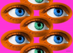 Windows 11: Requisitos mínimos y cómo saber si su PC es compatible | La iguana TV