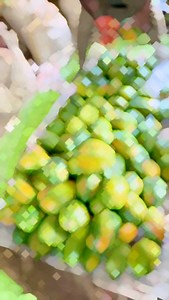 Papaya harvesting #papaya #papita #harvesting | Papaya Plant Nursery