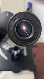 Stool sample 😍 #lablife #microbiology | Lab life