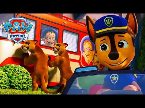 ¡Perdido en el Bosque! 🌲 ¿Podrá Francois Salvar el Show? 🎭 | PAW Patrol | Episodio Español