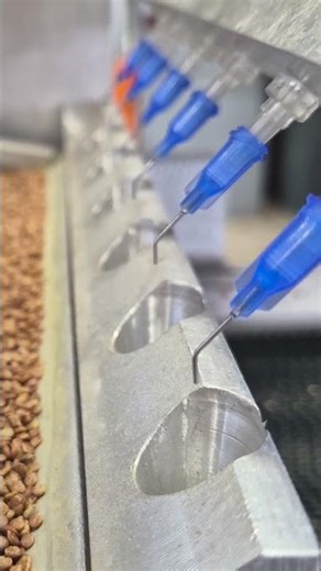 Farm Friday: Planting Mountain Spinach in the Standard Process Greenhouse