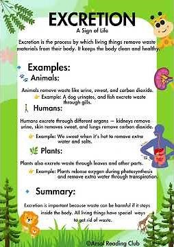 Excretion – A Sign of Life | How Living Things Remove Waste | Science for young learners