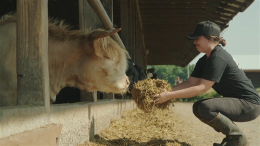 3K views · 43 reactions | MJ Farms: Growing since 1958.  What started with their grandpa back in 1958 has grown into a family-run farm supporting 40+ local producers. From fresh meat to local goods, it’s all about community, family, and doing what they love. | Michigan Farm Bureau | Facebook