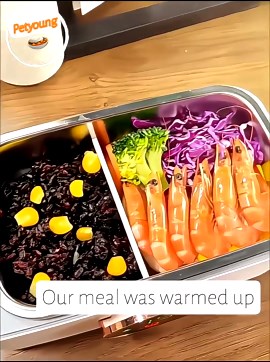 Petyoung Lunch Box Cordless, Portable Self Heating Electric Lunch Box, 1L Capacity, 16000mAh Battery Powered, Food Warmer for Kitchen Meal Prep, Office, Car, Picnics and Outdoor Use