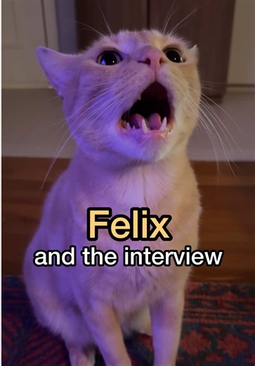 Interview with Felixander Felipe Felan Feliciano