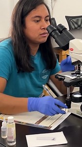 55 reactions | Why choose PCC? PCC gives you the real-world, in-demand skills you need to succeed. Get a quality education at a third the cost of Colorado universities. With dedicated faculty, small class sizes, and career-focused programs, your success is our priority. Classes begin Jan. 20. Don't delay. Enroll today! | Pueblo Community College | Facebook