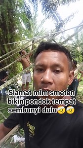 758K views · 11K reactions | Slamat mlm smeton bikin pondok tempat sembunyi dulu洛洛 | Adi Bulat Letakjamak | Facebook