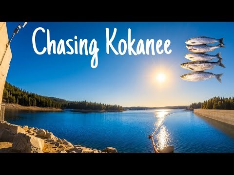 KOKANEE Catch and Cook up in the Mountains (Shaver Lake Fishing) Hand Paddle Kayak Trolling