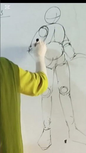 Basic Human Anatomy #drawing #proportion