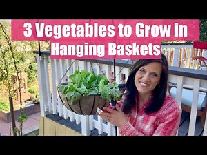 3 Vegetables Easy to Grow in Hanging Baskets 🥒☀️🥬