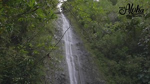 21K views · 141 reactions | A short and easy hike for people of all ages, Mānoa Falls Trail, just outside Honolulu, is known for its lush vegetation and dramatic 100-foot waterfall. It’s a view that’s definitely worth the trip. #havealohawilltravel | HAWAII Magazine | Facebook
