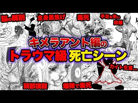 [Hunter x Hunter] Summary of 6 characters who died in the Chimera Ant arc! Summary of the tragic ...