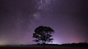 93K views · 448 reactions | World-first EOS 6D Mark II...