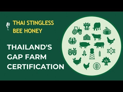The Secret Behind Stingless Bee Honey Understanding Thailand's GAP Farm Certification.