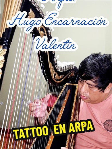 Música Electrónica y Arpa: Un Viaje Musical