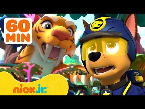 PAW Patrol Daring Jungle Pups Rescues with Animals & More! w/ Chase and Skye 🐯 1 Hour | Nick Jr.