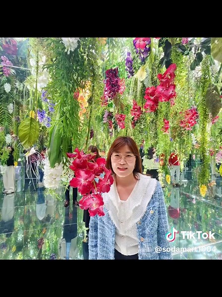 Understanding the Mind-Body Connection Made Simple