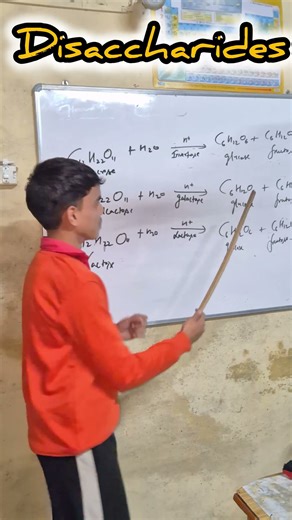 disaccharide biomolecules class 12th chemistry #class12chemistry