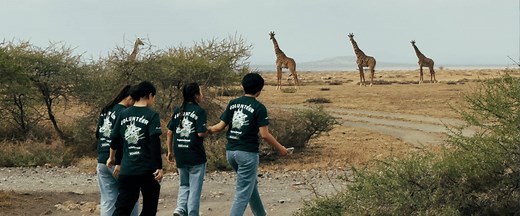 Wildlife Conservation Volunteering Abroad | Projects Abroad US