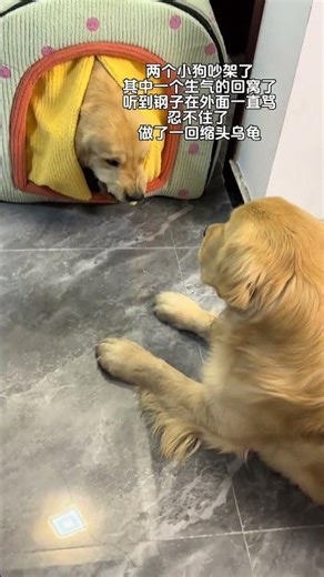 Unbelievable! Dog Uses Retractable Leash Like a Pro