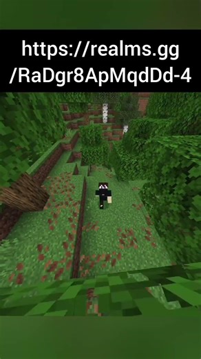 https://realms.gg/RaDgr8ApMqdDd-4
