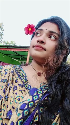 হাসিনা ও নাই ভালোবাসা ও নাই