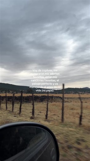 Disfrutando el Viaje de Copiloto con Papá