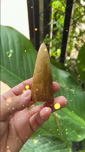 Bone to Buddha! Incredible Sculpture Carving Step by Step