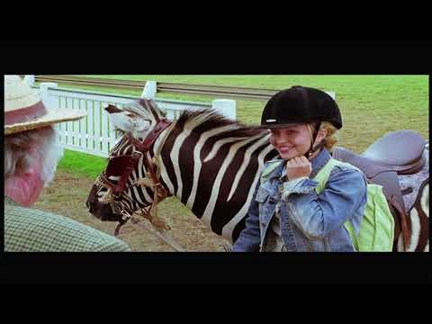 What's New Scooby-Doo? Volume 5: Sports Spooktacular (2005) DVD Opening