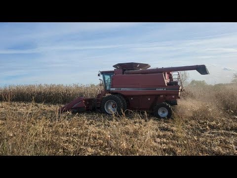 We Finished Custom Corn Harvest
