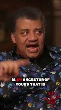 Are we all African? Neil deGrasse Tyson breaks down the science of human origin.
