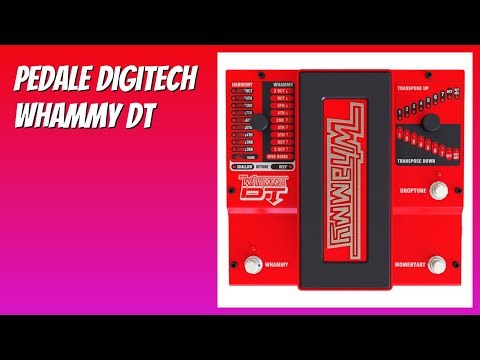 RECENSIONE (2025) : Pedale Digitech Whammy DT. DETTAGLI