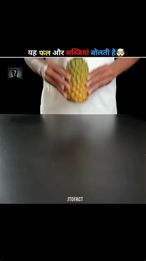 Engaging Facts You Didn't Know About Information