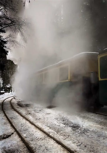 How does motion begin? The Mocănița exhales before it moves, a metallic animal waking from cold iron sleep, valves sighing, pistons clearing their throats. Steel meets frost, and somewhere inside the boiler, water remembers it was once a river. Pressure gathers like resolve. The first jerk is inelegant, honest, a confession that movement is never graceful at birth, especially here, in Romania’s winter valleys where silence weighs as much as snow. The mechanics are blunt poetry. Coal burns, heat 