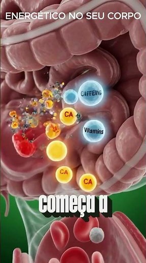 O Que o Energético Faz no Seu Corpo? (Animação 3D Realista)
