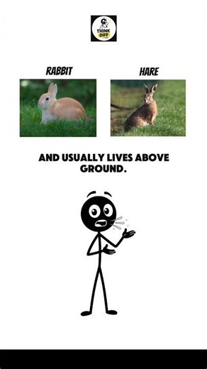 What's the difference?