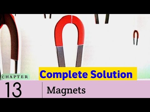 Magnets Question Answer| Dav Class 6 Science | Chapter 13 |