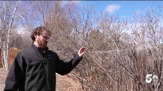 Fiber work raises communication, safety concerns for Colorado Springs man