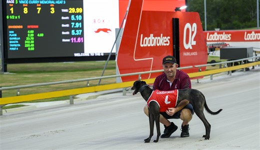 Stella Finds Her Groove In Vince Curry Series - Greyhound Recorder