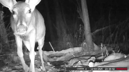 2 camera views | TIME OUTDOORS